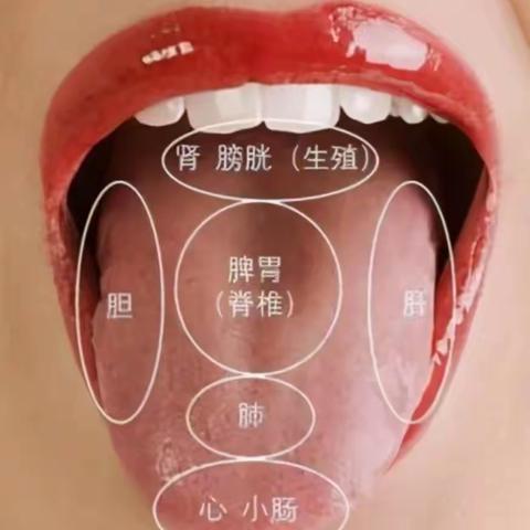 舌诊：通过观察病人的舌质和舌苔的变化，诊断疾病方法。