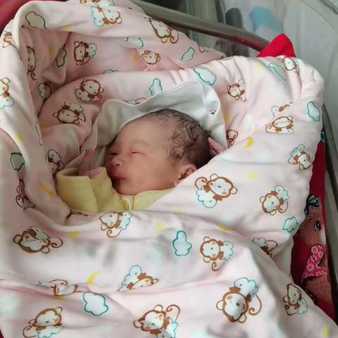 白芮嘉成长留念