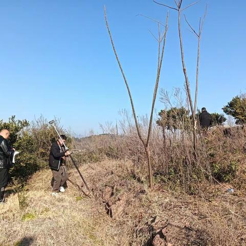 乡村振兴新篇章  共谋发展大计
