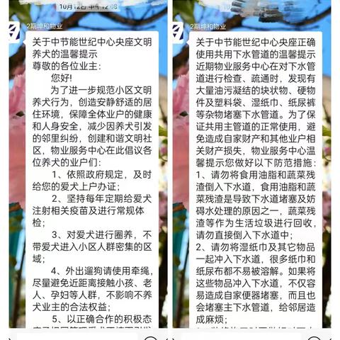 中节能世纪中心央座2024年10月工作简报