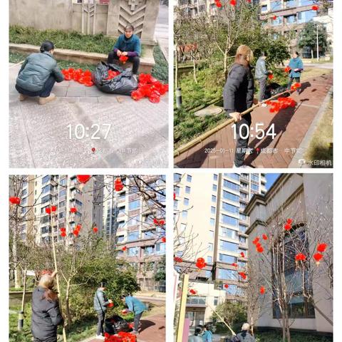 中节能世纪中心领御2025年1月工作简报