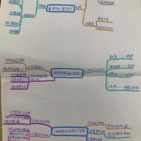 【西小·教学】导图花开   思维绽放——新池镇西王庄小学语文六下第一、二单元课文思维导图展评