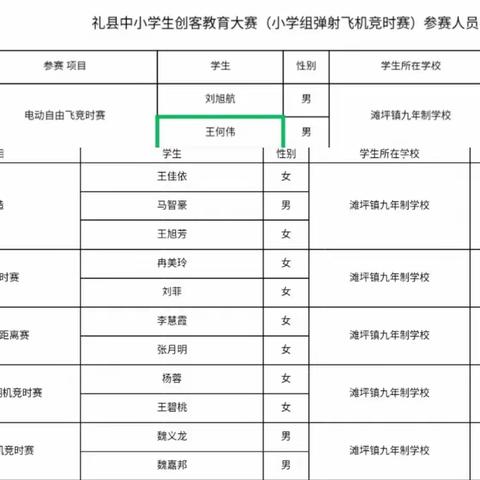 科技兴则民族兴，科技强则国家强——滩坪镇九年制学校参加礼县第四届创客教育大赛活动总结