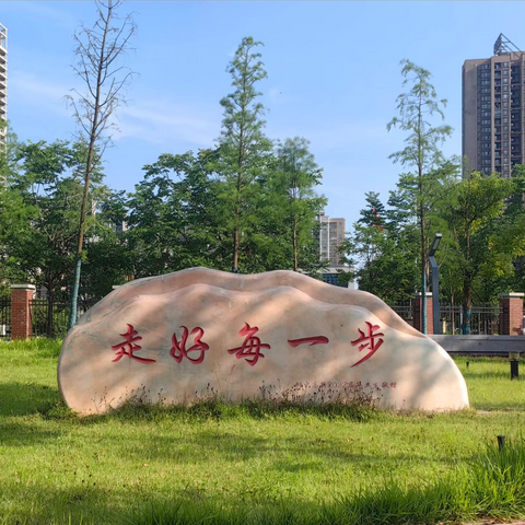 “研”途风景，且赏且思——记高阳县2024年青年教师青年教师教育教学技能提升培训