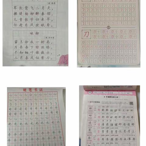 灵蛇启航 —— 二年级实践作业成果展