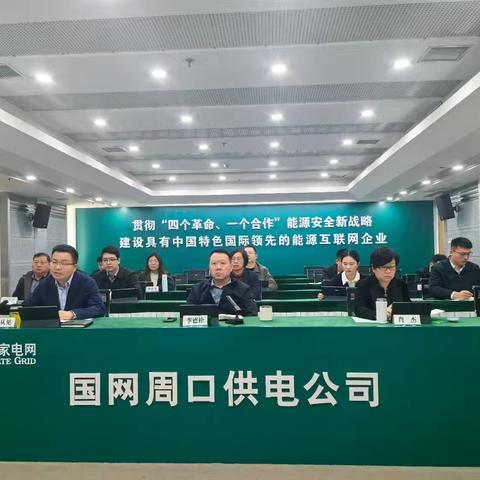 公司召开电力领域综合监管发现问题自查整改推进会