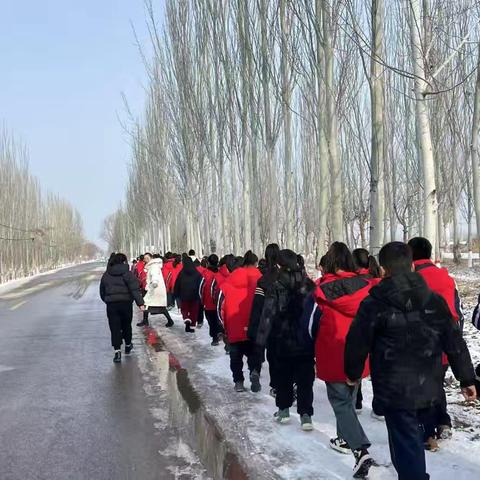 探索绿色奥秘，走进萝卜种植大棚的科学之旅——西夏区兴泾镇第二小学“科普新路径”研学活动纪实