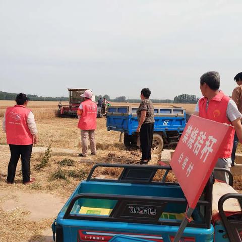 东阿镇白塔村：开展“严禁焚烧秸秆，净化生态环境”活动