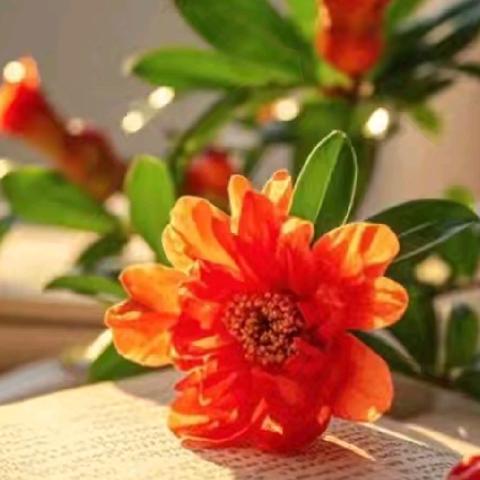 躬耕厚植蕴育情境初放 凝心聚智共话活力教研