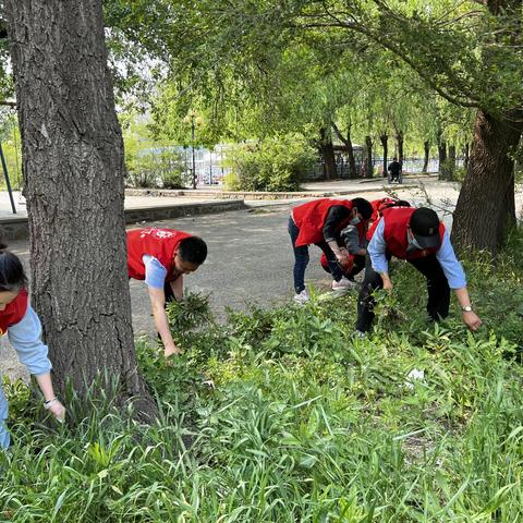 【“两邻”进社区】乐群社区老党员清理小区环境
