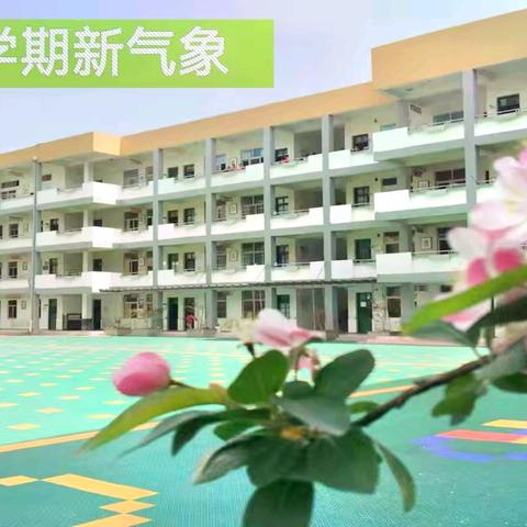 培训学习促成长 蓄力扬帆启新航——睢宁县南门学校学期初教师业务培训剪影