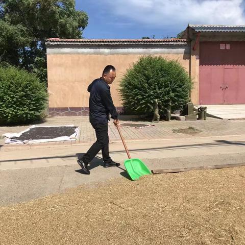 精准帮扶，田间地头忙抢收