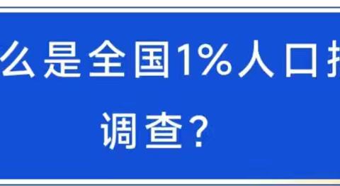 2025年全国1%人口抽样调查