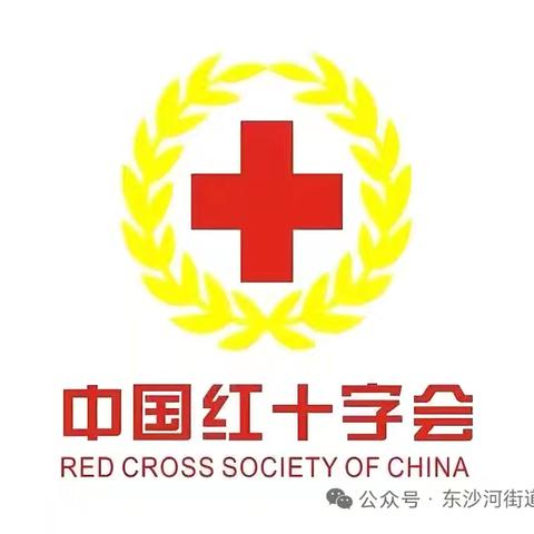 “矢志人道，青春同行”中国红十字会运动基本知识宣传 ———滕南中学开展红十字会宣传系列活动一