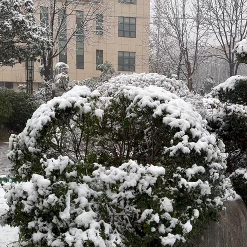 风雪无畏，铜川启德环卫守护耀州洁净
