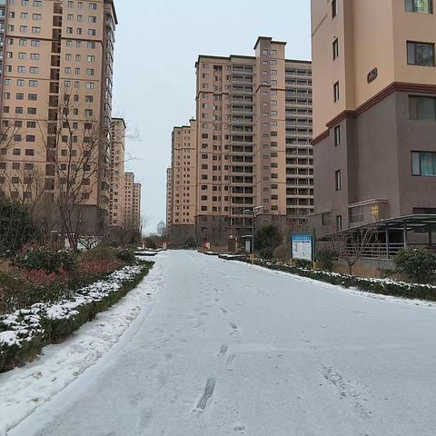 以雪为令，闻雪而动；无惧风雪，奋力前行