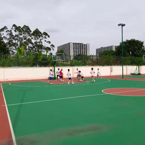 中学篮球社团：青春在球场上跃动