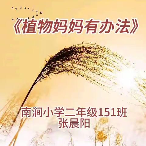 我把秋天读给你——南涧小学151班十月份合集