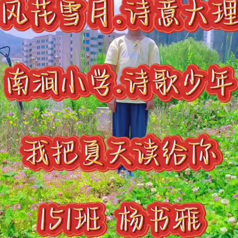 风花雪月诗意大理南涧小学诗歌少年151班《我把夏天读给你》五月份