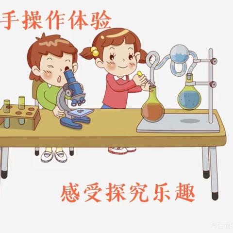 动手操作体验 感受探究乐趣——白鹤镇王庄小学科学实验操作与探究能力测评活动