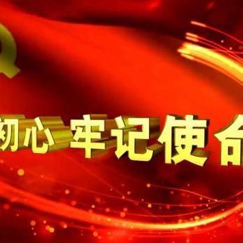 【本真十七】深学细悟明方向 实干担当促发展——平城区十七校党支部开展十二月主题党日活动纪实