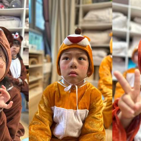 可爱熊熊，保护森林——中三班第十七周幼儿园活动