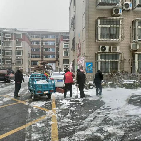 冒雪除冰暖人心