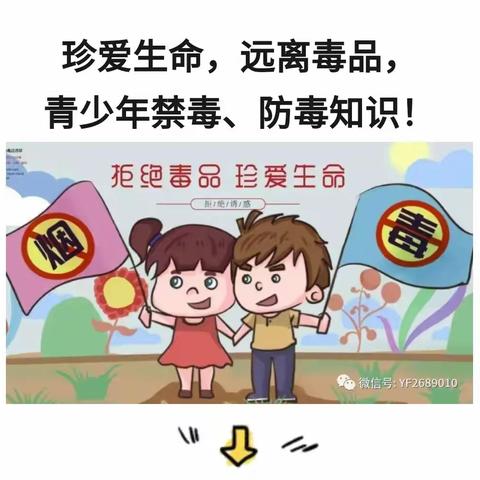 路东小学珍爱生命，远离毒品，青少年禁毒、防毒知识！