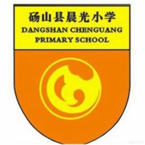 晨光小学2024年优质课评选活动