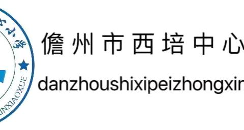 聚焦新教材，赋能新征程——儋州市西培中心小学数学教研组新教材培训纪实