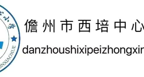 析有质量，行有方向——儋州市西培中心小学数学2024春统测质量分析会