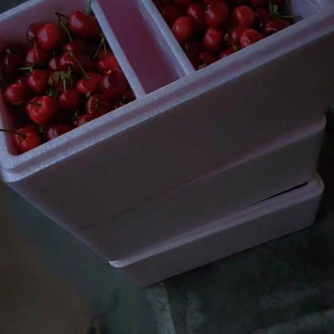 认真做好樱桃项目，临夏团队勇往直前