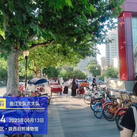 高海入6月13日中班工作总结