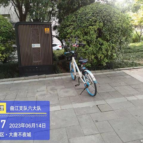 高海入6月14日中班工作总结