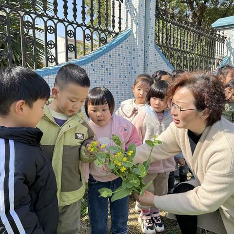 油你菜美——新昌小学幼儿园小(1)班主题活动