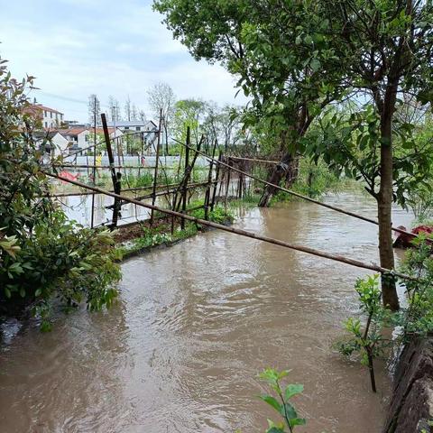 义乌持续大雨 导致河流水位上涨