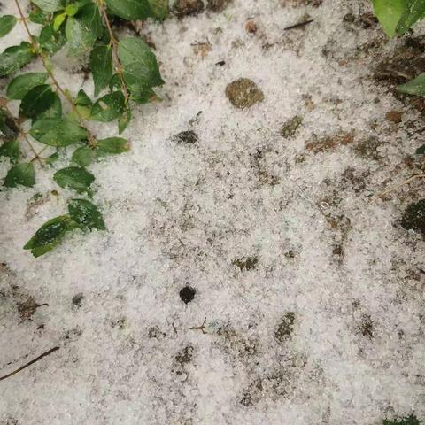 探秘霰雪 邂逅最美童年——宿豫区庐山路小学“霰”主题项目化探究活动