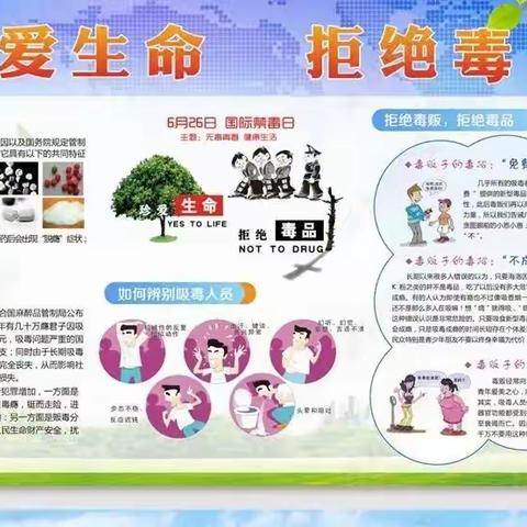 珍爱生命，拒绝毒品——杨庄街道中心学校禁毒教育