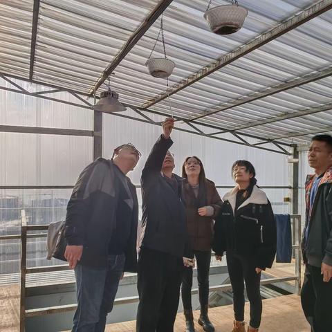 水塘大口村：把脉问诊促发展 乡村振兴发新芽