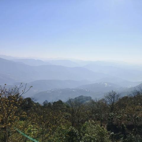 大口村驻村工作队走访村内茶企业