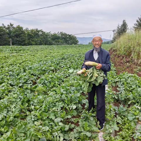 “小萝卜”成就乡村振兴“大梦想”