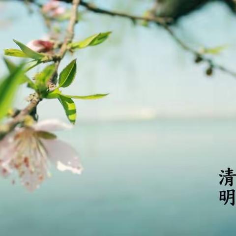 “清明时节话清明”—— 合肥经开区明珠湖畔幼儿园中二班清明节主题活动