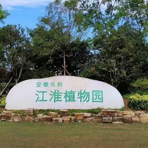 童心探自然， “趣”游植物园 ——山香方格子幼儿园走进江淮植物园研学活动