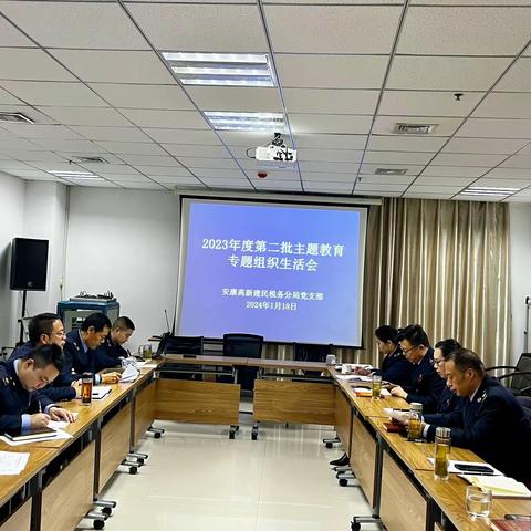 建民税务分局党支部召开主题教育专题组织生活会