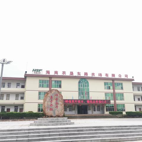 东路农场公司场部人居环境焕然一新完整版