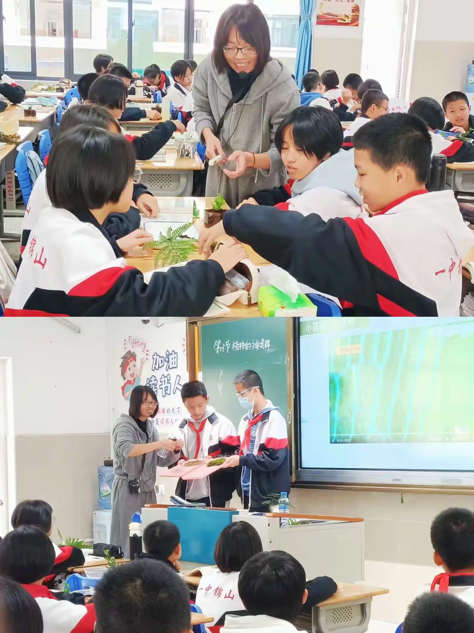 简篇-“生”深课堂,“植”入我心
---记龙岩一中锦山学校市开放周初中生物学科教研活动