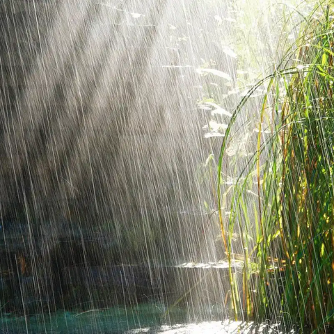 就是一个雨后
