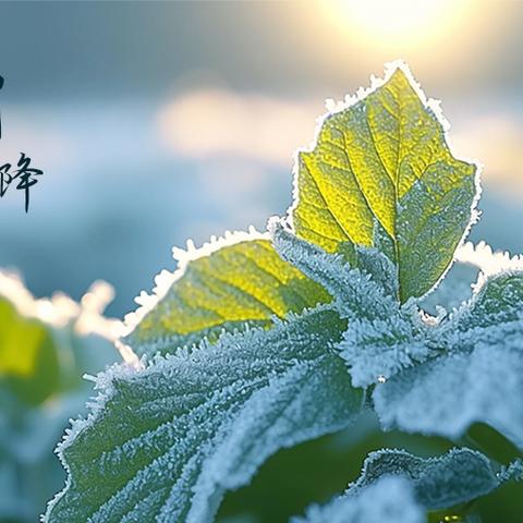 多举措应对降温，守护学生温暖