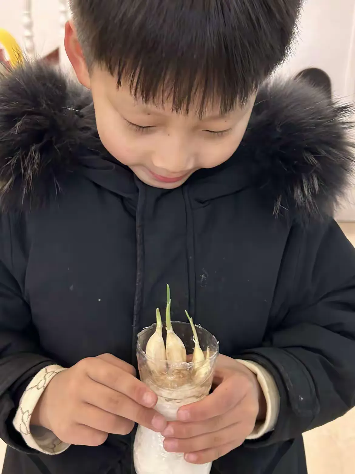简篇-劳动砺心志,实践促成长—一(12班)水培植物活动