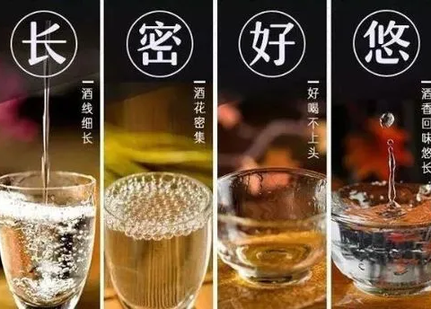 酱酒一杯，人生百味：解锁生活哲学